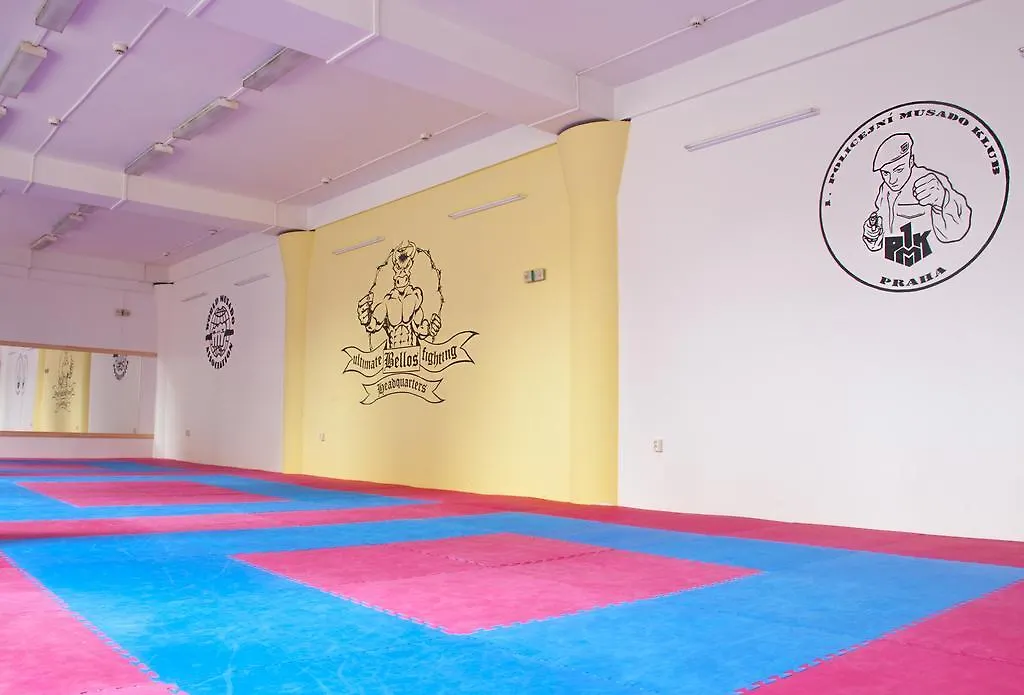 Martial Arts Sleepover Gym location